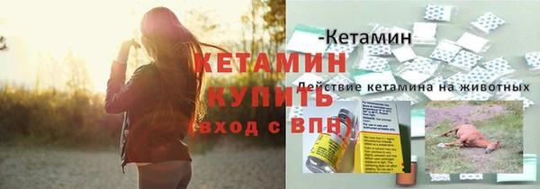 шишки Зеленодольск