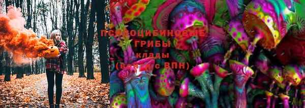 шишки Зеленодольск