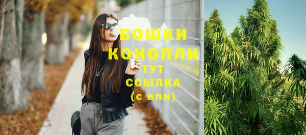 шишки Зеленодольск